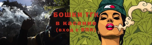 тгк Богородск