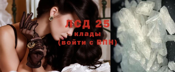 мяу мяу мука Богданович
