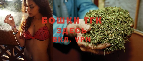 тгк Богородск