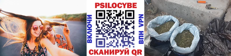 Псилоцибиновые грибы ЛСД  Купить где  Кувшиново 